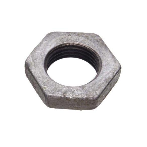 ELLENANYA   (NR.310)  1  HORG.